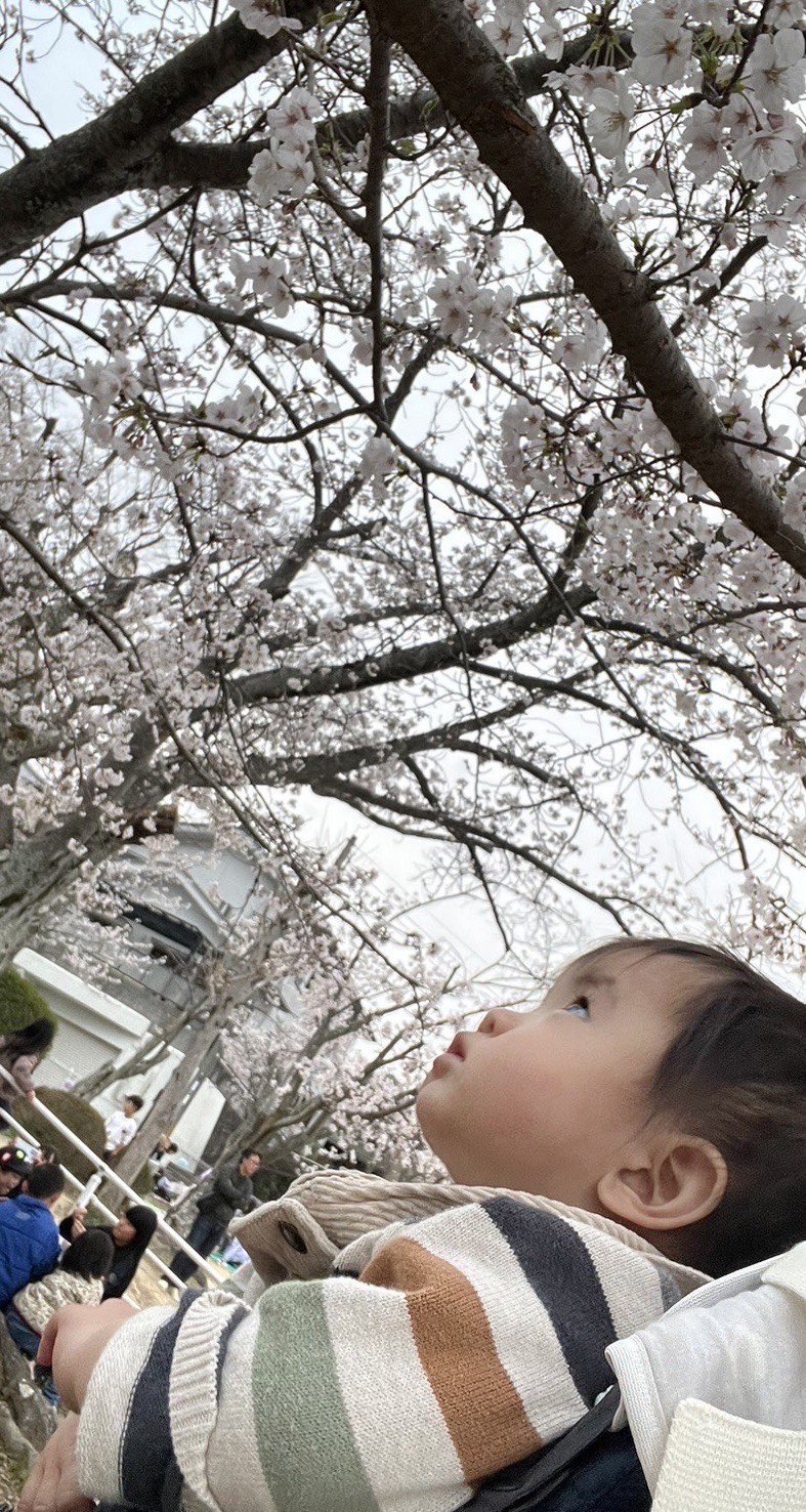 パパが見つけた子育ての本当のカギ